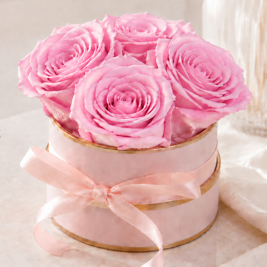 Pink preserved roses with care symbols for no water, no direct sunlight and indoor use only