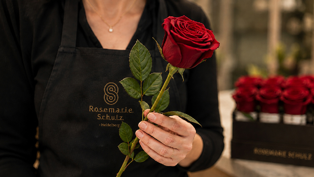 Florist holding a real red preserved rose with stem and leaves