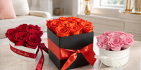 Preserved rose boxes in red, orange and pink for Valentine’s Day, Mother’s Day and birthdays