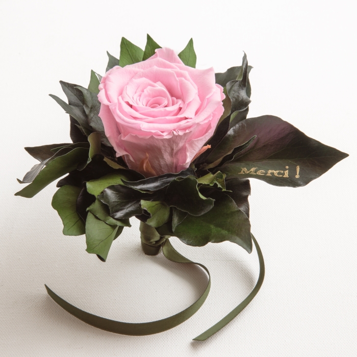 Ewige Rose Rosa Goldschrift Merci (Rosa)