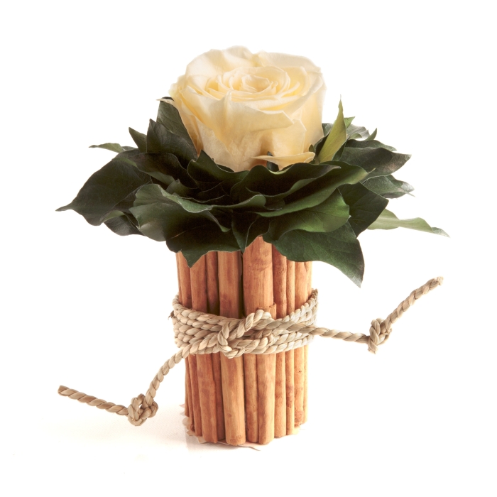1 Infinity Rose in Beige mit Blätter in Box aus Zimtstangen