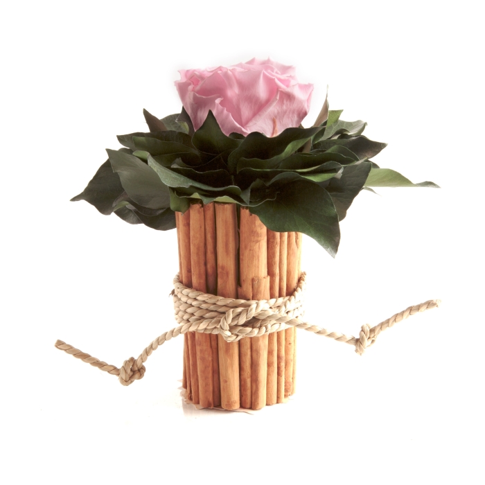 1 Infinity Rose in Rosa mit Blätter in Box aus Zimtstangen