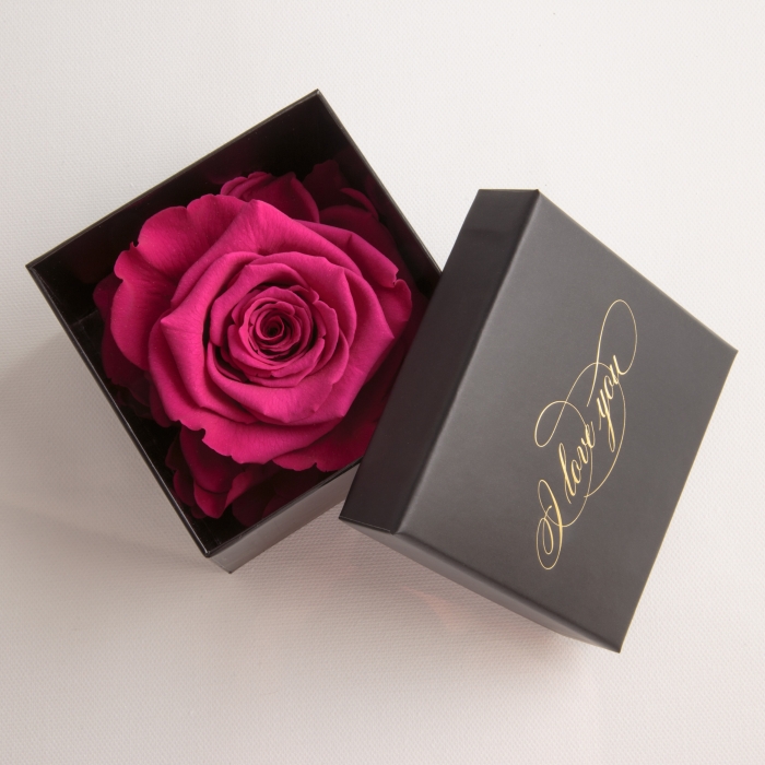 Rosa Eterna Fucsia Encanto