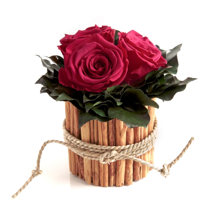 3 Infinity Rosen magenta-fuchsia in Box aus Zimtstangen