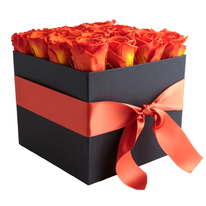 Rosen Box Deluxe (Orange)