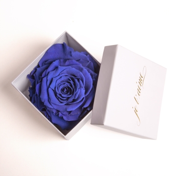 Je t'aime infinity Rose Rosenbox Weiß (Blau)