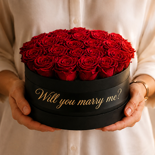 Black rose box with red preserved roses being held for a personal marriage proposal