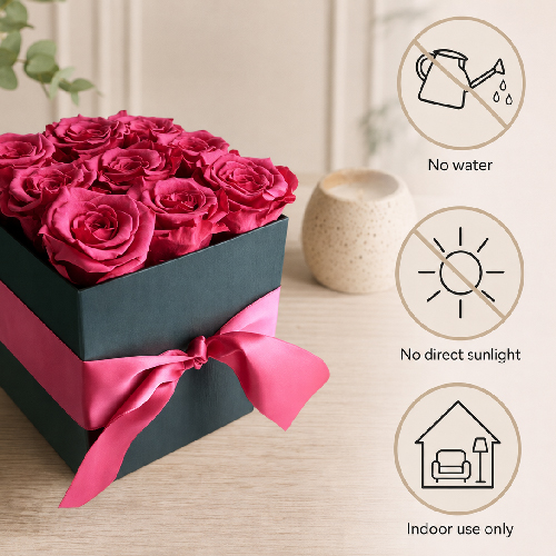 Pink preserved roses in a rose box with care icons for no water, no direct sunlight and indoor use only