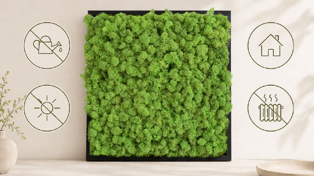 Preserved moss wall art with symbols showing no watering, indoor use, no direct sunlight and no radiator heat