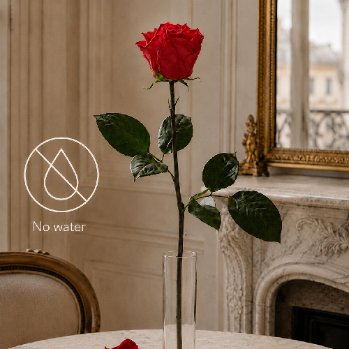 The Most Important Rule: Never Water Preserved Roses