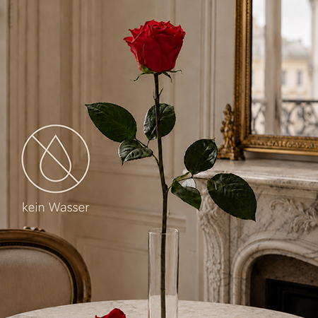 Langstielige Infinity Rose in trockener Vase ohne Wasser