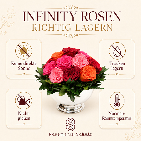 Grafik mit Tipps zum richtigen Lagern von Infinity Rosen: direkte Sonne und Wasser vermeiden, trocken und bei Raumtemperatur aufbewahren
