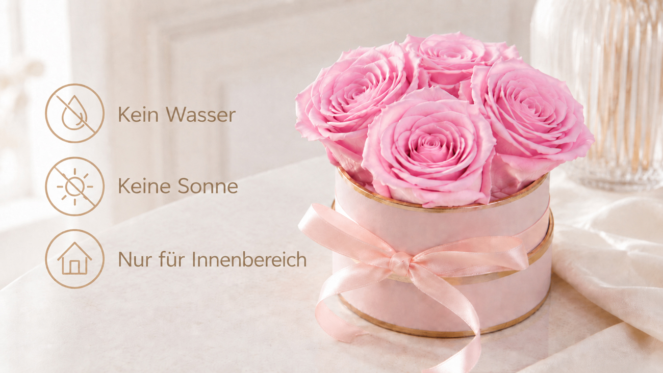 Infinity Rosen richtig pflegen – konservierte Rosen ohne Wasser und direkte Sonne dekorieren