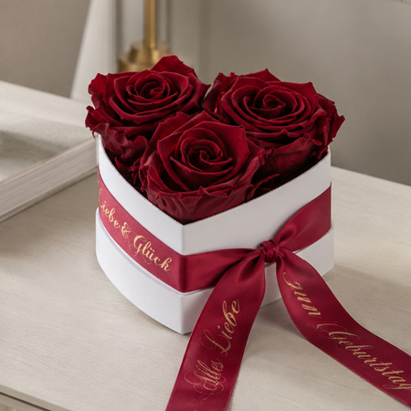 Rosenbox mit Infinity Rosen an einem trockenen Standort im Innenbereich