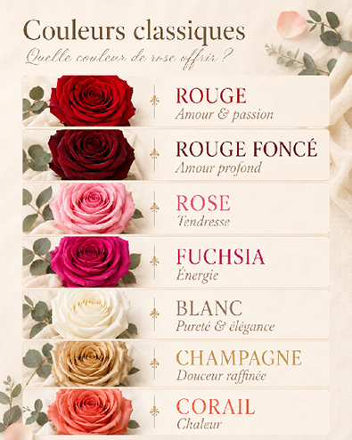 Roses éternelles rouge, rouge foncé, rose, fuchsia, blanche, champagne et corail avec leur signification