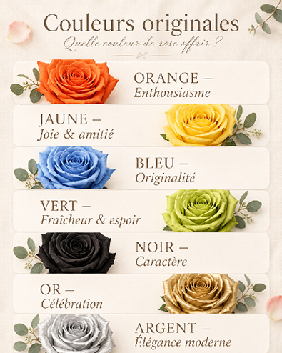 Roses éternelles orange, jaune, bleue, verte, noire, dorée et argentée avec leur signification