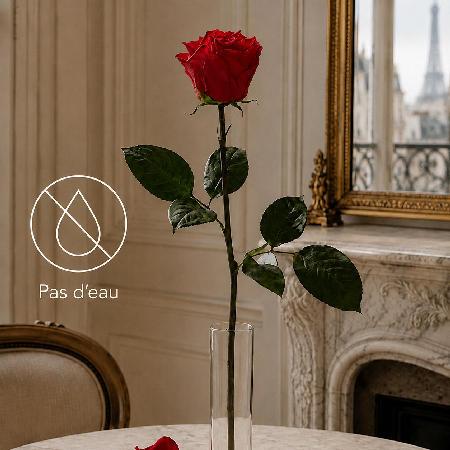 Rose éternelle à longue tige présentée dans un vase sec sans eau