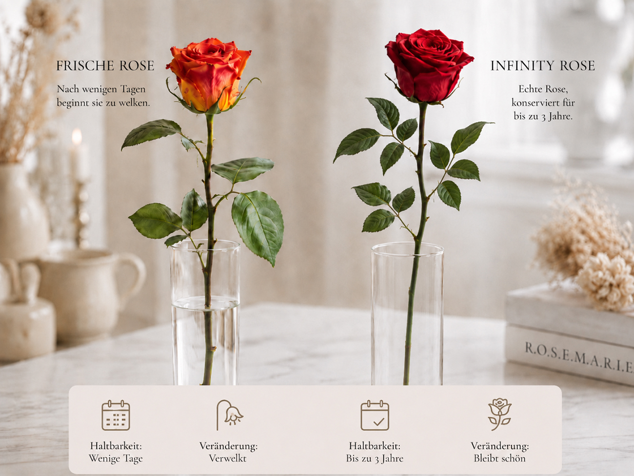 Frische Rose im Wasser neben Infinity Rose ohne Wasser als Vergleich zu Haltbarkeit und Pflege konservierter Rosen.