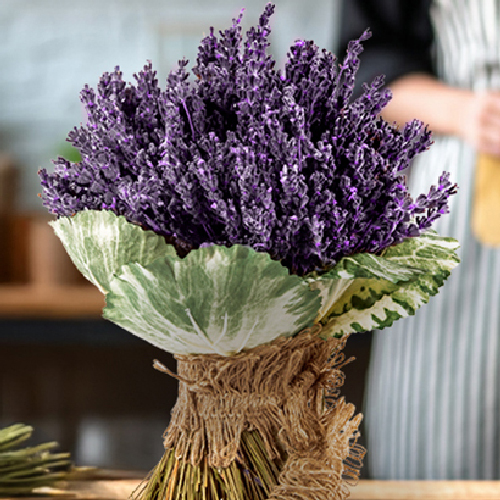 Üppiger Strauß aus getrocknetem violettem Lavendel mit dekorativen Blättern
