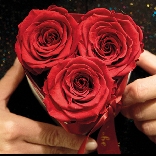 Herzförmige Rosenbox mit drei roten Infinity Rosen und rotem Satinband