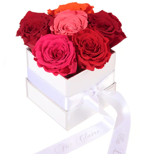 Weiße Rosenbox mit sechs bunten Infinity Rosen und personalisierbarem weißem Satinband