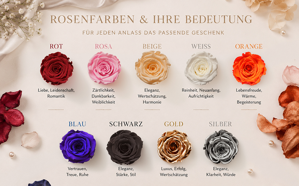 Verschiedene Rosenbox Farben mit Infinity Rosen für unterschiedliche Geschenk Anlässe