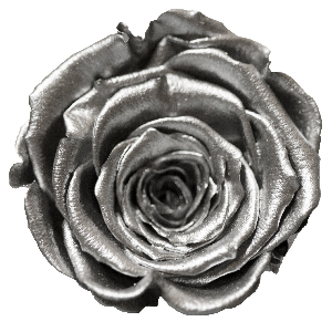 Rosenfarbe Silber