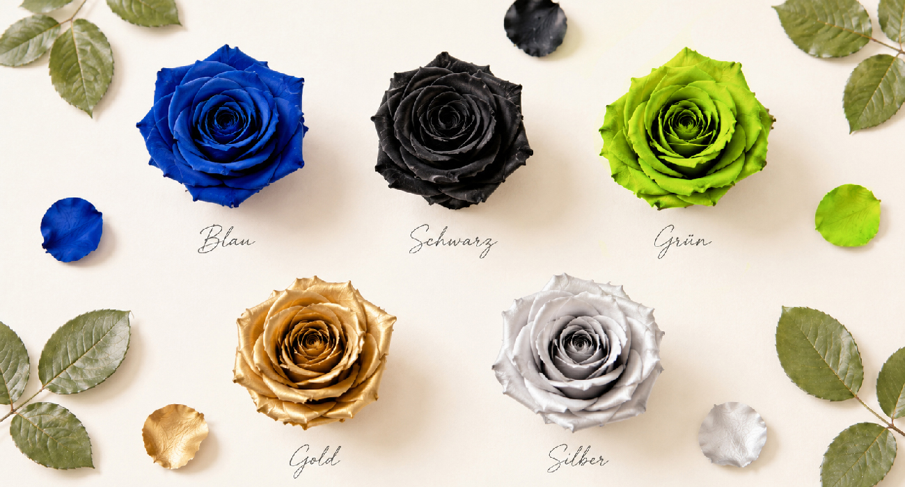 Außergewöhnliche Infinity Rosen in Blau, Schwarz, Grün, Gold und Silber für besondere Geschenkideen