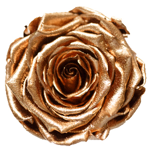 Rosenfarbe Gold