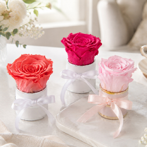 Rosa, pinke und korallfarbene Infinity Rosen als Geschenk zum Muttertag oder Geburtstag