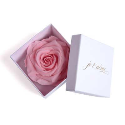 I Love You, Beige konservierte ewige Blumen EIN Geschenk zum Valentinstag für Frauen ROSEMARIE SCHULZ Heidelberg I Love You Rosenbox mit Infinity Champagner Rosen 