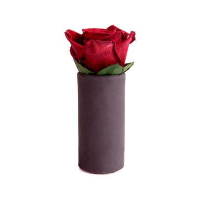Beige, Medium ROSEMARIE SCHULZ Heidelberg Rosenbox Flowerbox weiß rund konservierte Rosen 3 Infinity Rosen Blumengruß Geschenk für Frauen 