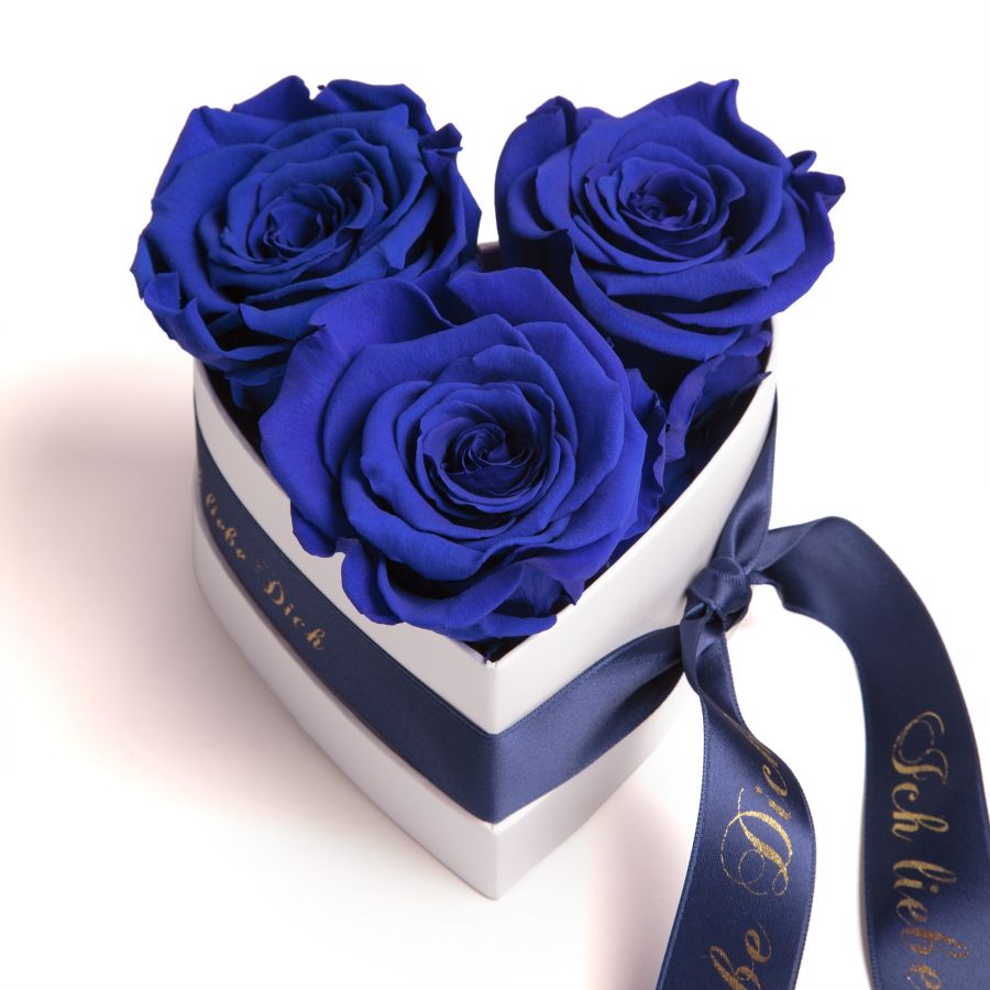 Konservierte Rose haltbar 3 Jahre in Blumengesteck Geschenk für Damen 6x6cm, Beige unvergängliche Rosen von ROSEMARIE SCHULZ GmbH Heidelberg 