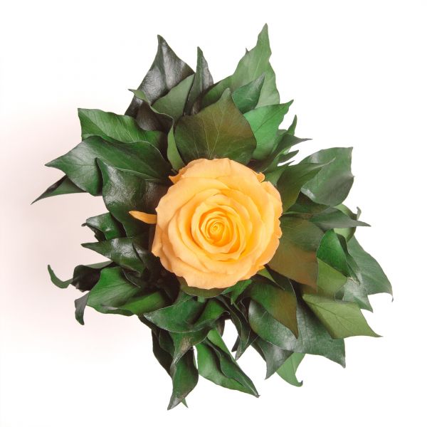 Orange Blumengesteck 3 Jahre haltbar in Silberbecher mit 3 Rosen lang haltbar und Efeublätter ROSEMARIE SCHULZ® 