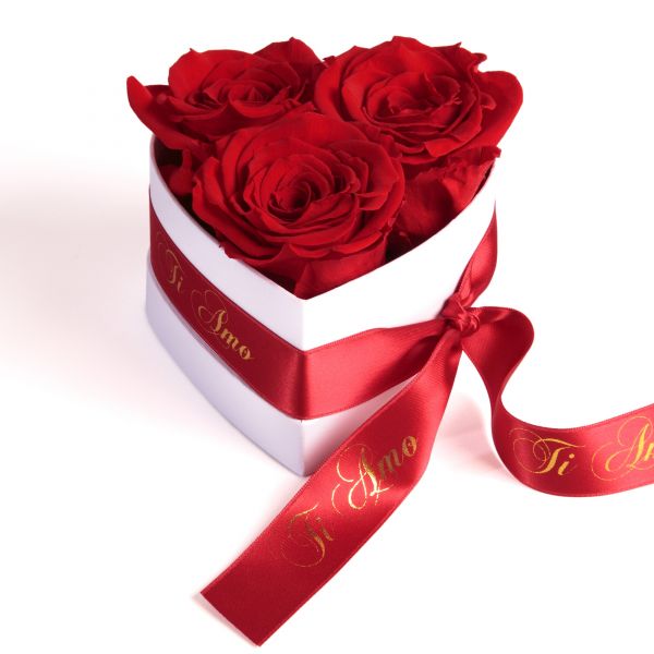 Seni Seviyorum Infinity Rosenbox Rosen haltbar 3 Jahre konservierte Flowerbox 